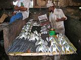 TANZANIA - Zanzibar Stone Town - Fish market - 06